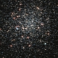 Hubble Sees Impressive Star Cluster in Neighboring Galaxy