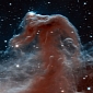 Hubble Telescope Snaps Stunning Image of the Horsehead Nebula