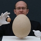 Huge Elephant Bird Egg Fetches $101,813 (€78,299.6) at Auction in London