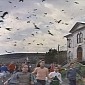 Huge Flock of Birds Invade California Woman's House