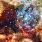 Huge Stellar Nursery Seen in the 30 Doradus Nebula