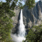 Huge Waterfalls and Giant Trees: Yosemite