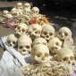 Human Skulls for Drinking Cups, Human Thigh Bones as Blow Horns