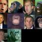 Chimps Are More Evolved Than Humans