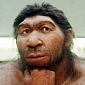 Humans Ate the Neanderthals, Spanish Researchers Claim