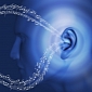Humans Can Learn to Use Echolocation to “See,” Researchers Claim