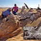 Humongous Sphinx Emerges from Sand Dunes in California, US