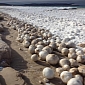 Hundreds of Massive Ice Boulders Wash Ashore in Michigan