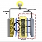 Hybrid Anode for Lithium-Sulfur Batteries Quadruples Storage Capacity