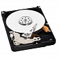 Hybrid Hard Drives Win Over Every PC Maker
