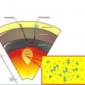 Hydrocarbons Can Form in the Upper Mantle