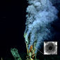 Hydrothermal Vents Fuel Marine Organisms with Iron