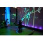 Let's Visit The Funky Forest Ecosystem! It's All Interactive...