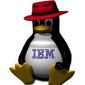 IBM and Red Hat lobby for Linux