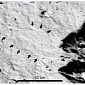 Iapetus Reveals Signs of Massive Avalanches