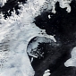 Ice Shelf Losses Lead to Glacier Decline in Antarctica