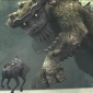 Ico and Shadow of the Colossus Could Come to the PlayStation 3