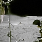 Iconic Lunar Rover Image of Apollo Module