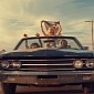 Iggy Azalea Will Do Cameo Role in “Fast & Furious 7”