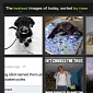 Imgur Gets a Revamp, Tries to Cut Out Reddit, Twitter