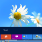 Have Windows 8 Start Screen on the Classic Desktop, Resize It