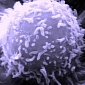 Immune System Cells Can Be Activated in Melanoma Tumors