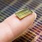 Implantable Chip Intended for Birth Control Could Hit Markets by 2018
