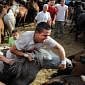 In Spain, Men Wrestle Wild Horses to Prove Their Strength