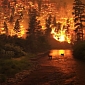 Incidence of Wildfires Spirals Out of Control