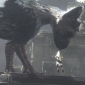 Incoming 2011 – The Last Guardian