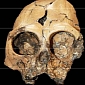 Incredibly Rare Fossilized Ape Cranium Discovered in China