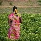 Indian Farmers and the National Government Fight Over Water Resources