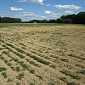 Indiana Drought Grows Worse, Spreads to New Areas
