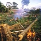 Indonesia Takes a Sudden Interest in Protecting Its Forests