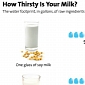 Infographic Will Make You Never Eat Dairy Again