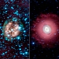 Infrared Telescope Images Three Cosmic Musketeers