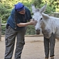 Injured Donkey Gets to Wear Pants as Part of Its Treatment Plan