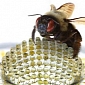 Insect-Inspired Camera System Has Infinite Depth of Field