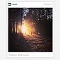 Instagram Debuts Photo and Video Embedding, Embracing the Web Further