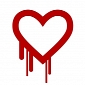 Intuitive Password Says It Wasn't Affected by Heartbleed