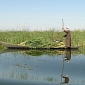 Iraq Turns the Mesopotamian Marshes Into Its First National Park