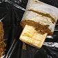 JFK Airport Passenger Caught Smuggling Cocaine Inside Frozen Meat