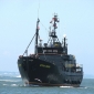 Japan Says It Will Arrest Sea Shepherd Members This Year