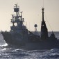 Japan Uses Acoustic Weapons Against Sea Shepherd