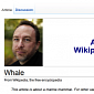 Jimmy Wales Is Creeping People Out on Wikipedia Again, Pay Up for Him to Go Away