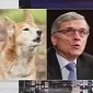 John Oliver to FCC's Tom Wheeler: Prove You're Not a Dingo