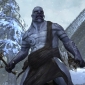 Jotun Are Latest Revealed Race for Guild Wars 2