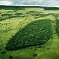 Jump in Forest Loss Reported in Madagascar, Bolivia, Ecuador