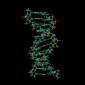 Junk DNA Key to Gene Therapy