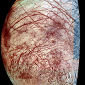 Jupiter's Europa May Be Home to Unexpectedly Fast Chemistry